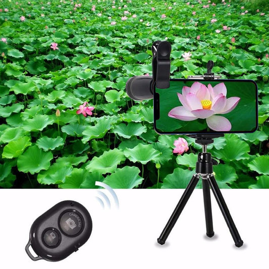 nikon z50 kit, xenvo pro lens kit, iphone 14 pro lenses